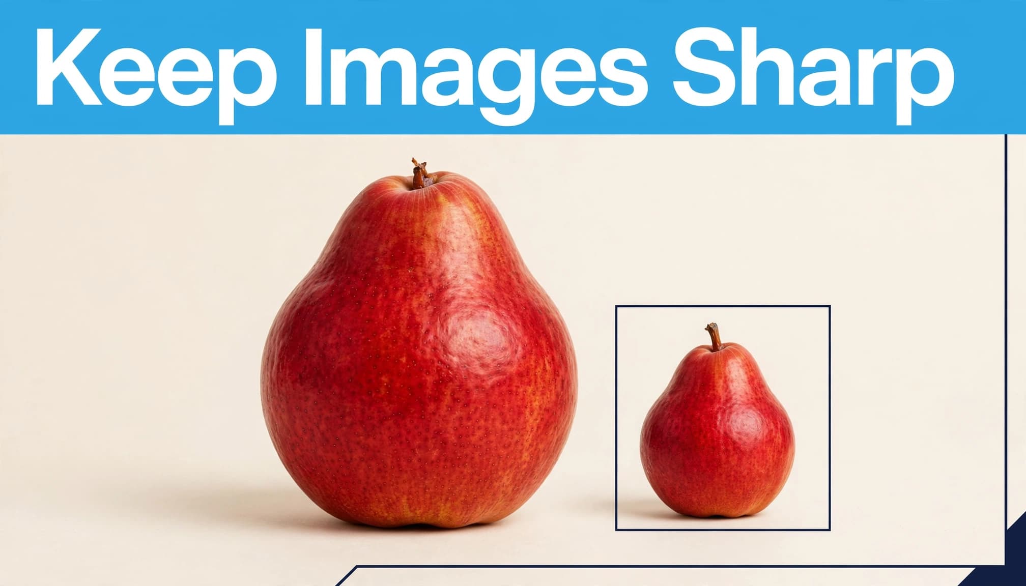 A red pear and smaller duplicate appear beneath a blue